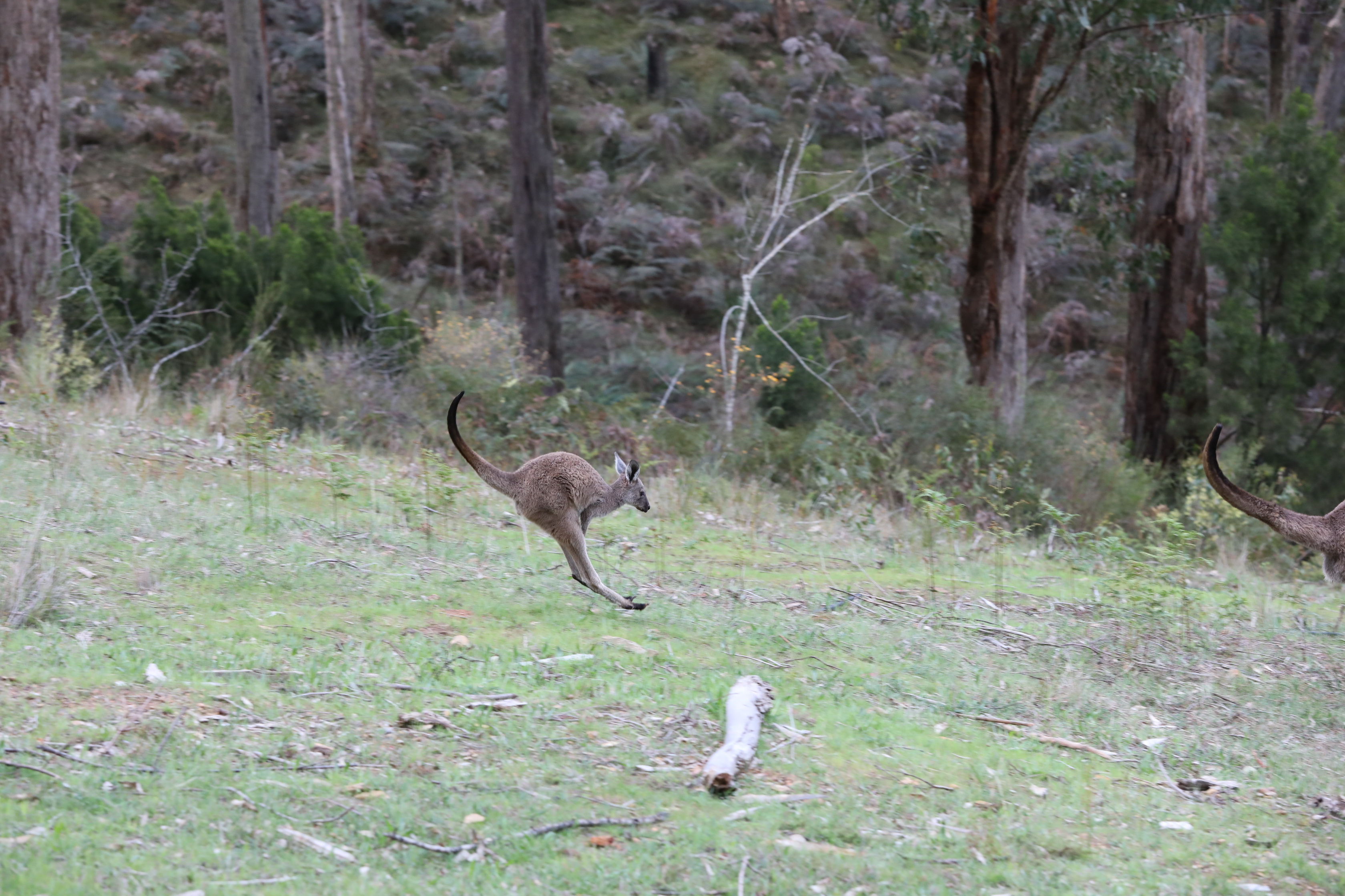 2019 09 21 15 57 32 Canon EOS 5D Mark IV 0016